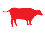 Cattle Feed for sale at North Country Mercantile and Equipment