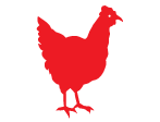 Poultry Feed for sale at North Country Mercantile and Equipment
