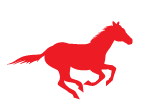 Equine Equipment for sale at North Country Mercantile and Equipment