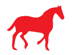 Horse Feed for sale at North Country Mercantile and Equipment
