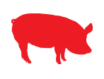 Swine Feed for sale at North Country Mercantile and Equipment